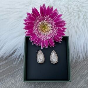 🩷 JEWELS BY SUNAINA Narnia Studs